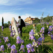 casa dei fiori tuscany