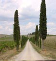 tuscany wine tour